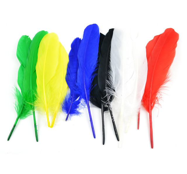 Touch of Nature Indian Feather 7-8 Assorted 12pc